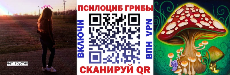 Псилоцибиновые грибы ЛСД  сайты даркнета официальный сайт  Пойковский 